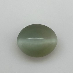 Cat's Eye Apetite 8.03 Ct Best Quality